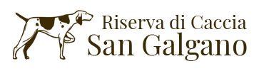 Riserva di Caccia San Galgano (SI)